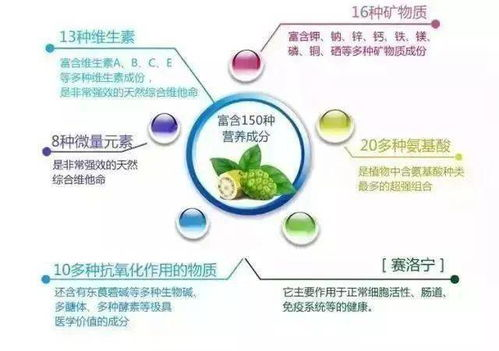 韵味妈妈,产后恢复全攻略-重塑美丽与健康-第4张图片-佛山资讯网