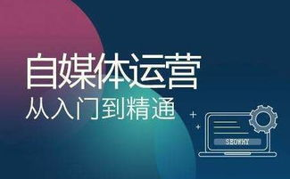 pp视频在线观看免费大全下载全解析-第5张图片-佛山资讯网 pp视频在线观看免费大全下载全解析-第5张图片-佛山资讯网