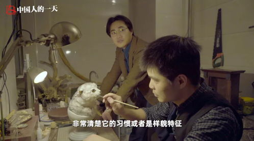 霸君的三夜囚宠,揭秘古代宫廷的爱恨情仇-第3张图片-佛山资讯网 霸君的三夜囚宠,揭秘古代宫廷的爱恨情仇-第3张图片-佛山资讯网