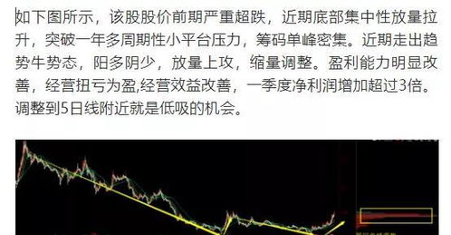 都市潜龙,隐匿于市的强者-特质与作用解析-第1张图片-佛山资讯网 都市潜龙,隐匿于市的强者-特质与作用解析-第1张图片-佛山资讯网