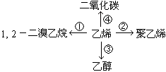 我的英雄学院第五季,精彩剧情与角色成长-深度解析-第4张图片-佛山资讯网 我的英雄学院第五季,精彩剧情与角色成长-深度解析-第4张图片-佛山资讯网
