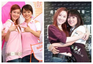 姐妹秘密换夫,探索婚姻关系中的非常规解决方式-第2张图片-佛山资讯网 姐妹秘密换夫,探索婚姻关系中的非常规解决方式-第2张图片-佛山资讯网