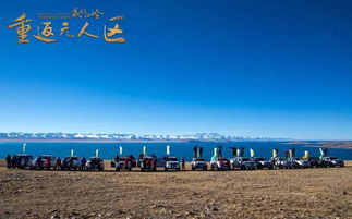 无人区电影探索，人性冲突与自然奇观-经典作品解析-第3张图片-佛山资讯网