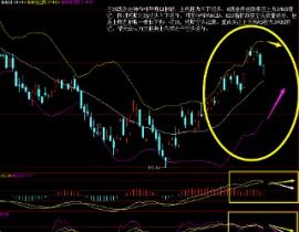 免费观看禁区视频,合法途径与安全攻略-第1张图片-佛山资讯网