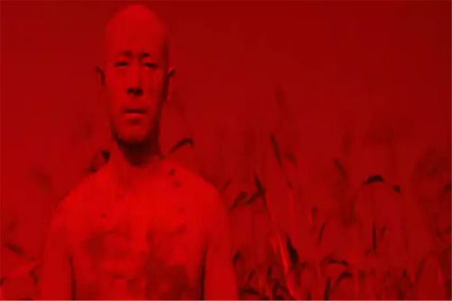 红高粱电影,中国电影史上的经典之作-艺术价值与历史背景解析-第2张图片-佛山资讯网 红高粱电影,中国电影史上的经典之作-艺术价值与历史背景解析-第2张图片-佛山资讯网