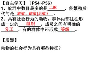 《黑道风云二十年》小说完整版深度解读-黑道生活真实面貌-第3张图片-佛山资讯网