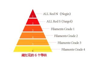 免费中文字幕MV高清版搜索与观看指南-第3张图片-佛山资讯网 免费中文字幕MV高清版搜索与观看指南-第3张图片-佛山资讯网
