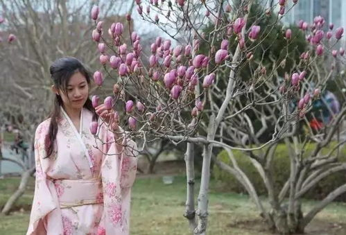 春天里的浪漫,七仙女思春故事解析-寻找爱情的方法-第1张图片-佛山资讯网 春天里的浪漫,七仙女思春故事解析-寻找爱情的方法-第1张图片-佛山资讯网