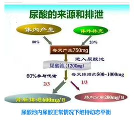 10大壮阳最好最快药-效果与安全性解析-第1张图片-佛山资讯网