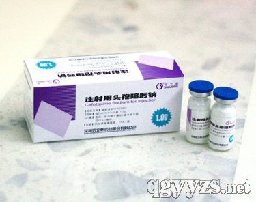 10大壮阳最好最快药-效果与安全性解析-第4张图片-佛山资讯网