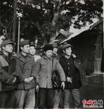 知青电视剧，历史记忆与艺术创作的结晶-深度剖析其背后的故事-第1张图片-佛山资讯网