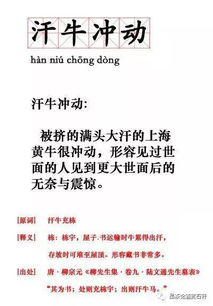 上流社会生活方式,精英阶层特点-深入解析上流社会现象-第1张图片-佛山资讯网