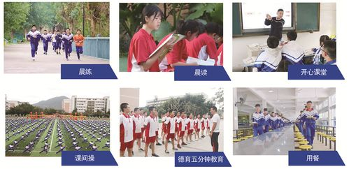 “老师再来一次”:提升个性化教学质量的实践解析-第2张图片-佛山资讯网 “老师再来一次”:提升个性化教学质量的实践解析-第2张图片-佛山资讯网