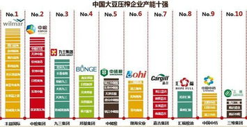 欧洲Vodafone WiFi 18大豆行情分析-市场动态与价格走势-第1张图片-佛山资讯网