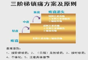 止痛药效果对比与最佳选择解析-第4张图片-佛山资讯网 止痛药效果对比与最佳选择解析-第4张图片-佛山资讯网
