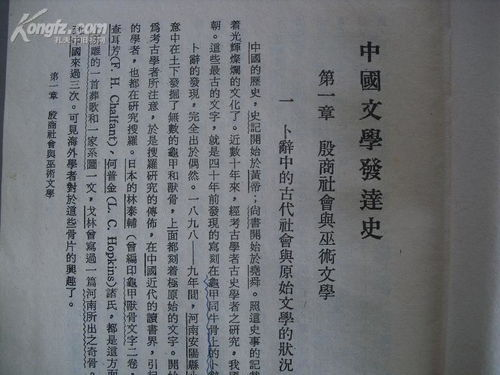 逆命: SEO关键词优化策略与应用解析-第2张图片-佛山资讯网 逆命: SEO关键词优化策略与应用解析-第2张图片-佛山资讯网