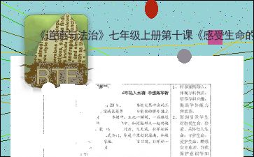逆命: SEO关键词优化策略与应用解析-第1张图片-佛山资讯网 逆命: SEO关键词优化策略与应用解析-第1张图片-佛山资讯网