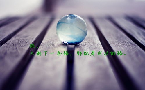 逆命: SEO关键词优化策略与应用解析-第3张图片-佛山资讯网 逆命: SEO关键词优化策略与应用解析-第3张图片-佛山资讯网