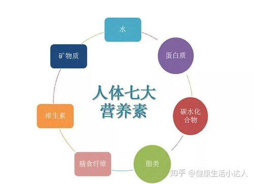 术后病人吃什么营养恢复快-术后饮食攻略-第3张图片-佛山资讯网
