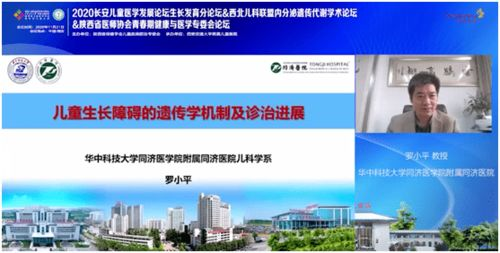在线观看免费视频完整版攻略-高质量资源搜索指南-第4张图片-佛山资讯网 在线观看免费视频完整版攻略-高质量资源搜索指南-第4张图片-佛山资讯网