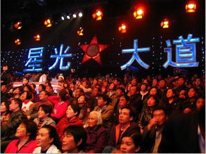 星光大道,演艺成名之路-成功秘诀与影响分析-第5张图片-佛山资讯网 星光大道,演艺成名之路-成功秘诀与影响分析-第5张图片-佛山资讯网