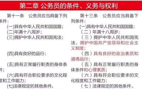 荒野求生21天不打马赛原版,野外生存极限挑战解析-第3张图片-佛山资讯网 荒野求生21天不打马赛原版,野外生存极限挑战解析-第3张图片-佛山资讯网