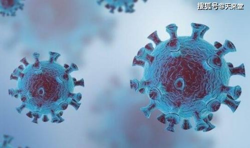 老同学重逢,社交媒体助力人际连接-找回往日情谊的秘诀-第1张图片-佛山资讯网 老同学重逢,社交媒体助力人际连接-找回往日情谊的秘诀-第1张图片-佛山资讯网