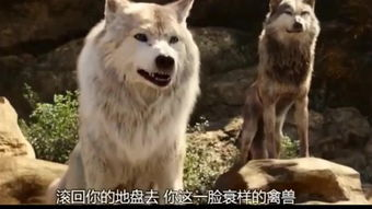 狼群影院高清版免费看,合法观影新选择-解析与指南-第1张图片-佛山资讯网 狼群影院高清版免费看,合法观影新选择-解析与指南-第1张图片-佛山资讯网