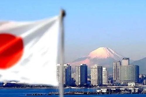 日本、亚洲与韩国经济竞争与合作-亚洲经济格局解析-第4张图片-佛山资讯网