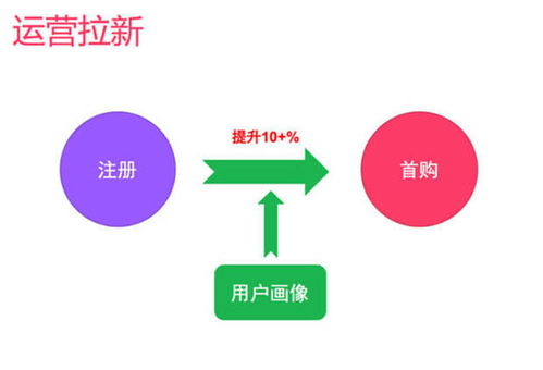 最全的免费阅读小说软件-功能对比与选择指南-第4张图片-佛山资讯网