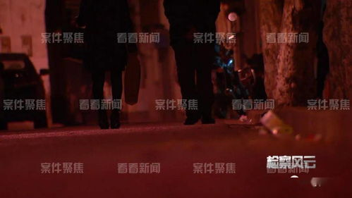 成人天堂影视,打造个性化观影体验-内容与服务的深度解析-第1张图片-佛山资讯网