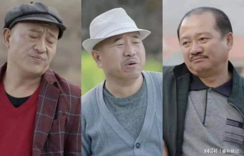 乡村爱情13全集免费观看攻略与剧集解析-第1张图片-佛山资讯网