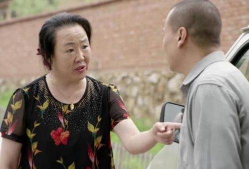 乡村爱情13全集免费观看攻略与剧集解析-第3张图片-佛山资讯网