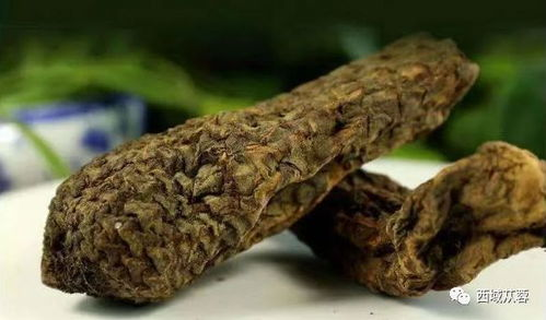 好看的真爱大片,肉苁蓉的神奇功效-健康与美丽的解决方案-第5张图片-佛山资讯网