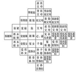 《小别离》演员表，经典角色一览-深入解析角色性格-第2张图片-佛山资讯网