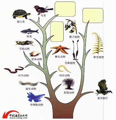 吞噬进化,自然界中的生存策略-解析其机制与应用-第4张图片-佛山资讯网 吞噬进化,自然界中的生存策略-解析其机制与应用-第4张图片-佛山资讯网