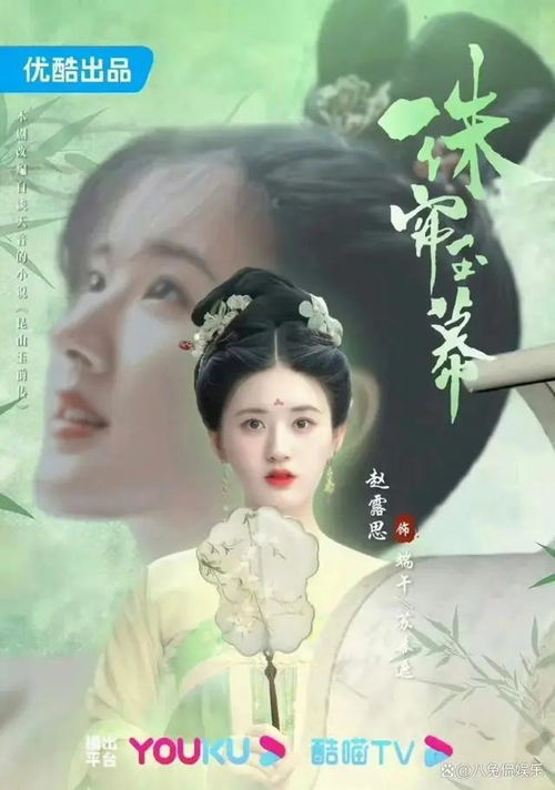 珠帘玉幕电视剧免费观看全攻略-合法渠道与剧情解析-第1张图片-佛山资讯网 珠帘玉幕电视剧免费观看全攻略-合法渠道与剧情解析-第1张图片-佛山资讯网