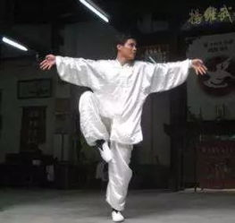 《武状元铁桥三2》：功夫传奇的延续与深度解析-第2张图片-佛山资讯网