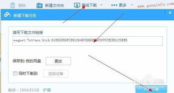 探索TorrentKitty磁力官网-资源搜索与下载全解析-第3张图片-佛山资讯网 探索TorrentKitty磁力官网-资源搜索与下载全解析-第3张图片-佛山资讯网