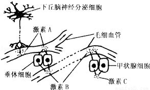 野爱,自然生活方式-寻找身心和谐的解决方案解析-第4张图片-佛山资讯网 野爱,自然生活方式-寻找身心和谐的解决方案解析-第4张图片-佛山资讯网