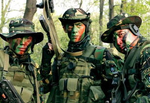 特种兵之利刃出鞘-揭秘特种兵的训练与战术-第4张图片-佛山资讯网 特种兵之利刃出鞘-揭秘特种兵的训练与战术-第4张图片-佛山资讯网