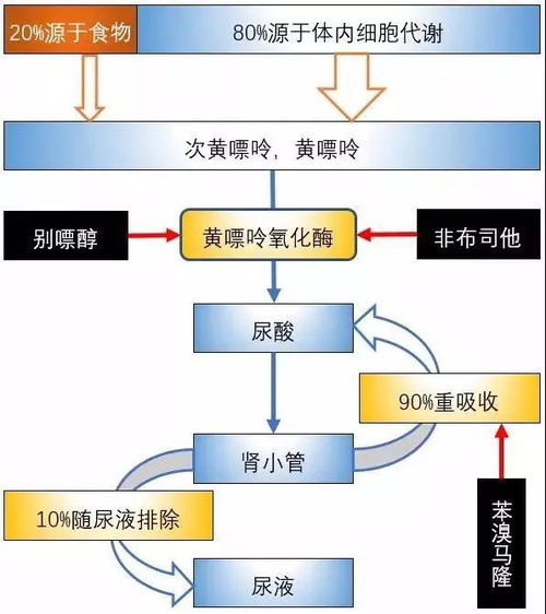 头疼吃什么药有效, 对症下药是关键-药物选择指南-第3张图片-佛山资讯网 头疼吃什么药有效, 对症下药是关键-药物选择指南-第3张图片-佛山资讯网