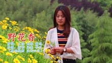 野花香高清视频，在线观看免费全攻略-第4张图片-佛山资讯网