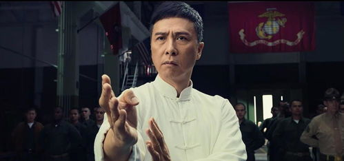 甄子丹电影,动作魅力与文化传播-经典作品解析-第1张图片-佛山资讯网 甄子丹电影,动作魅力与文化传播-经典作品解析-第1张图片-佛山资讯网