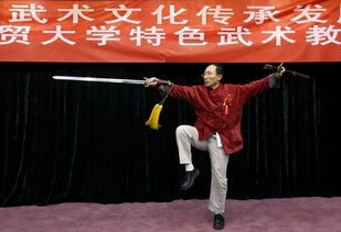 甄子丹电影,动作魅力与文化传播-经典作品解析-第4张图片-佛山资讯网 甄子丹电影,动作魅力与文化传播-经典作品解析-第4张图片-佛山资讯网