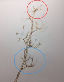 主角叫简的电影-经典角色与故事解析-第4张图片-佛山资讯网 主角叫简的电影-经典角色与故事解析-第4张图片-佛山资讯网