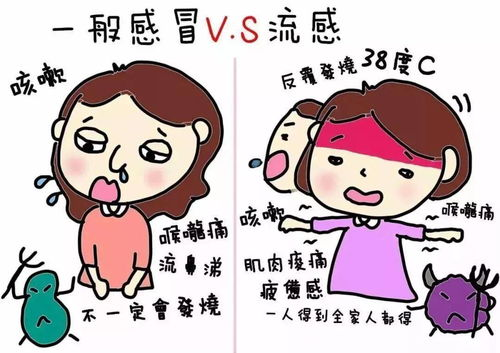 感冒传染性分析与预防措施-健康生活指南-第2张图片-佛山资讯网 感冒传染性分析与预防措施-健康生活指南-第2张图片-佛山资讯网