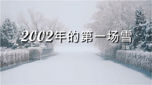 刀郎最好听的12首歌-深情旋律回顾-第1张图片-佛山资讯网