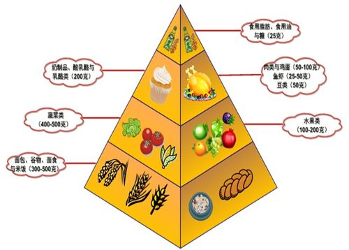 健康饮食建议,营养平衡方案-健康生活方式解析-第3张图片-佛山资讯网