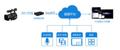 无人在线直播免费观看,探索新娱乐方式的魅力-技术解析与应用指南-第1张图片-佛山资讯网